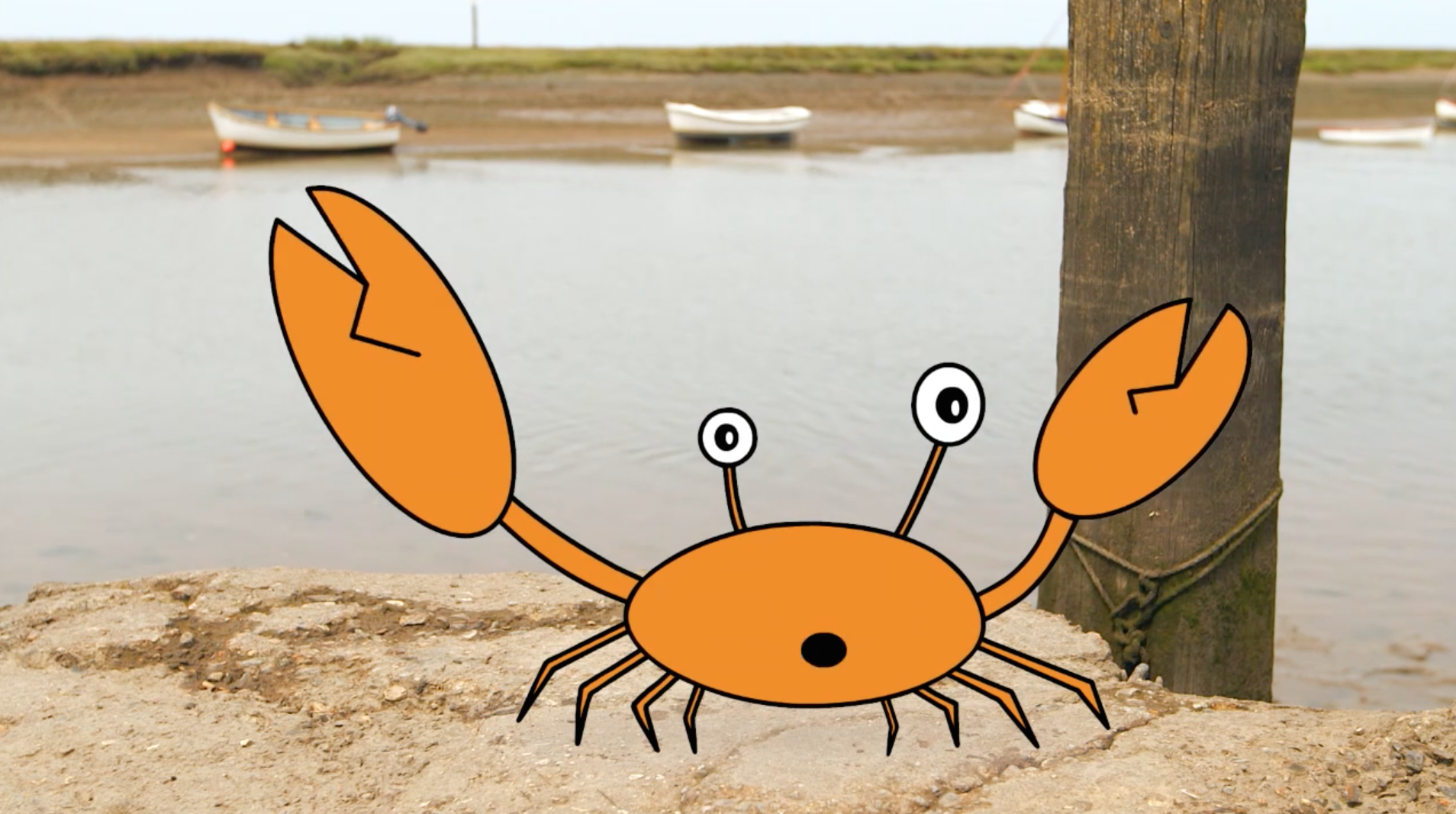 How to Go Crabbing