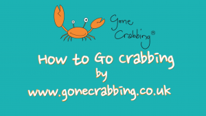 Gone Crabbing